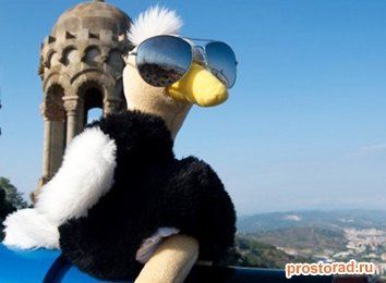 Путешествие игрушки, Подарить малышу
