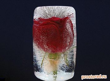 Подарок в льдинке, Ледяной подарок